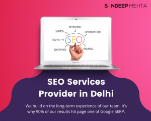 Delhi SEO Services Provider